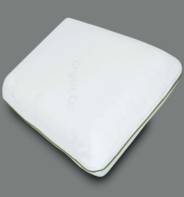 Latex Classic Pillow (Pt 24)