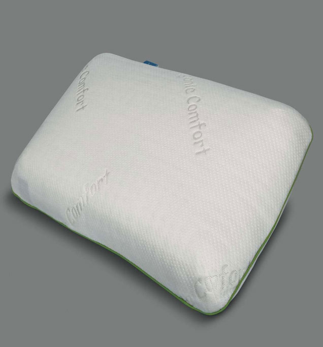 Rvs Standard Pillow