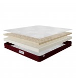Comfort Latex Signature Mattress